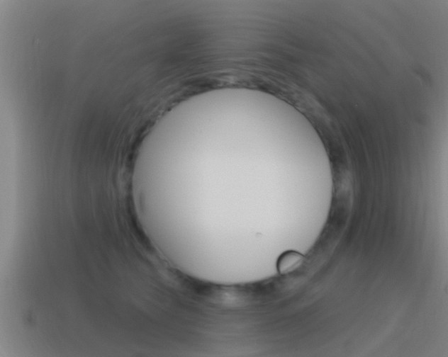 X0000115490565200911061004
