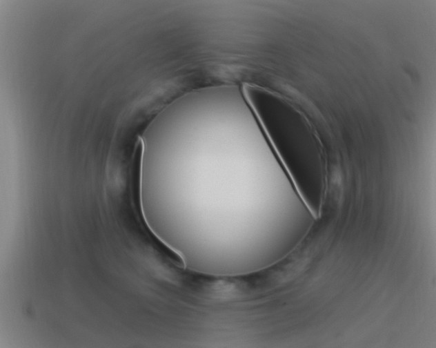 X0000115490566200911061004