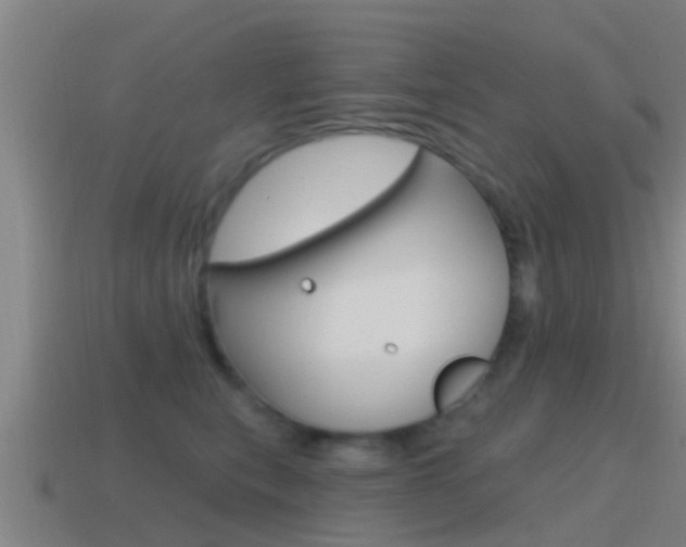 X0000115490567200911061004