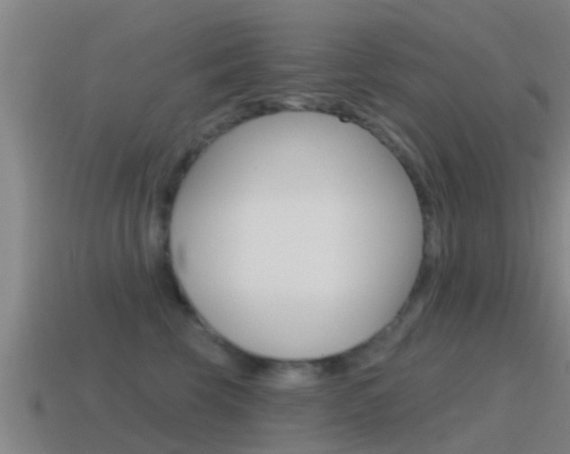 X0000115490569200911061004