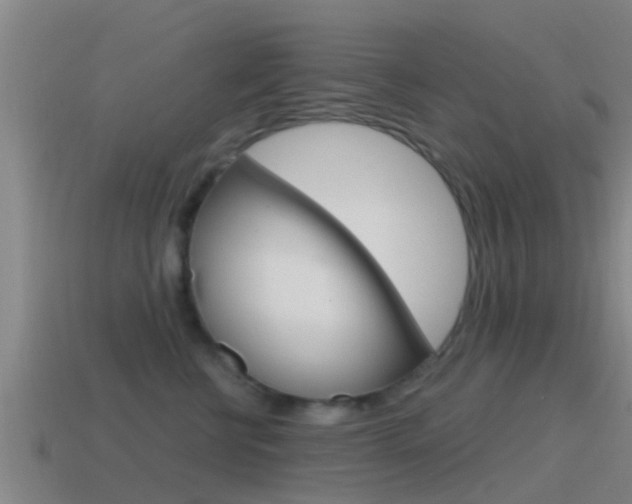 X0000115490570200911061004