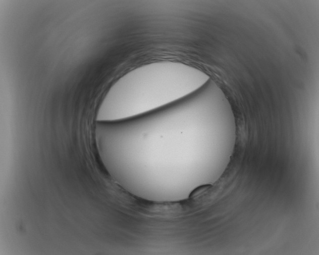 X0000115490571200911061004