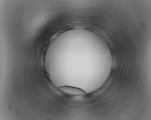 X0000115490573200911061004