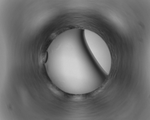 X0000115490574200911061004