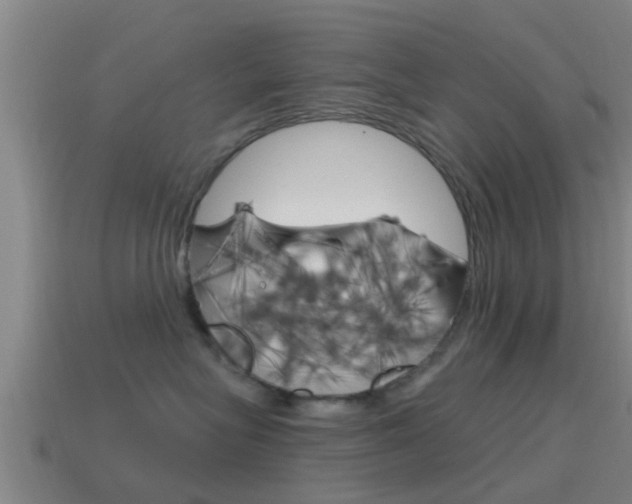 X0000115490575200911061004