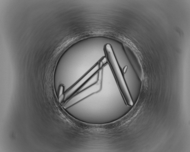 X0000115490577200911061004