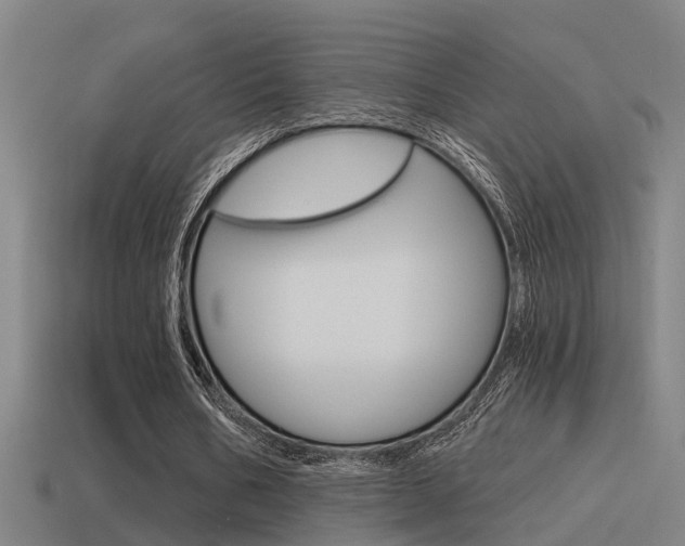 X0000115490578200911061004