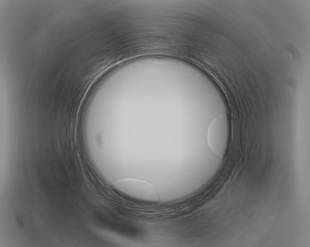 X0000115490579200911061004