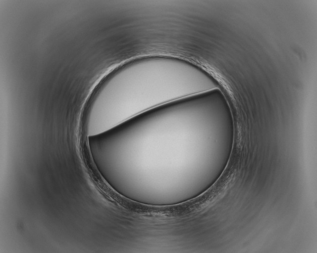 X0000115490580200911061004