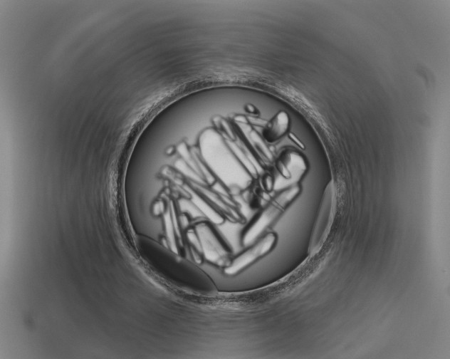 X0000115490581200911061004