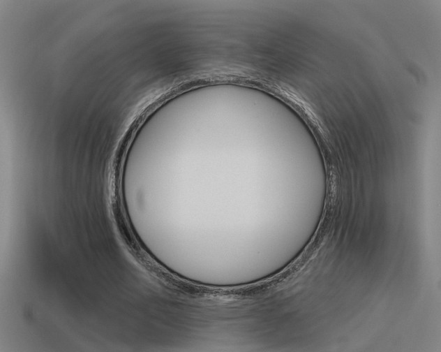 X0000115490582200911061004