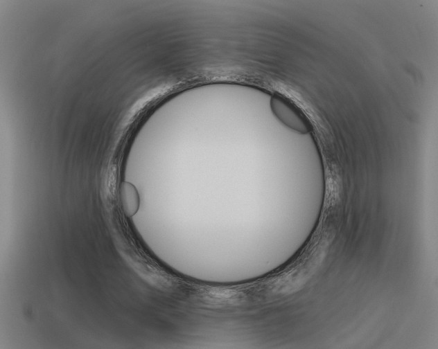 X0000115490583200911061004