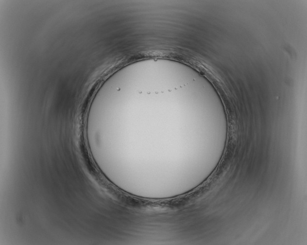 X0000115490586200911061004
