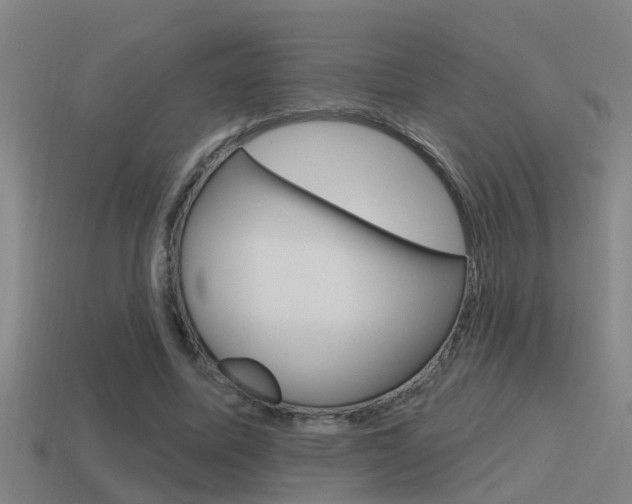 X0000115490587200911061004