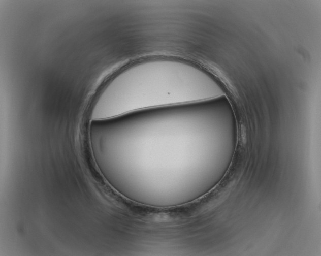 X0000115490588200911061004