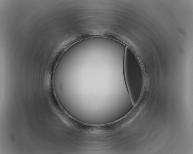 X0000115490589200911061003