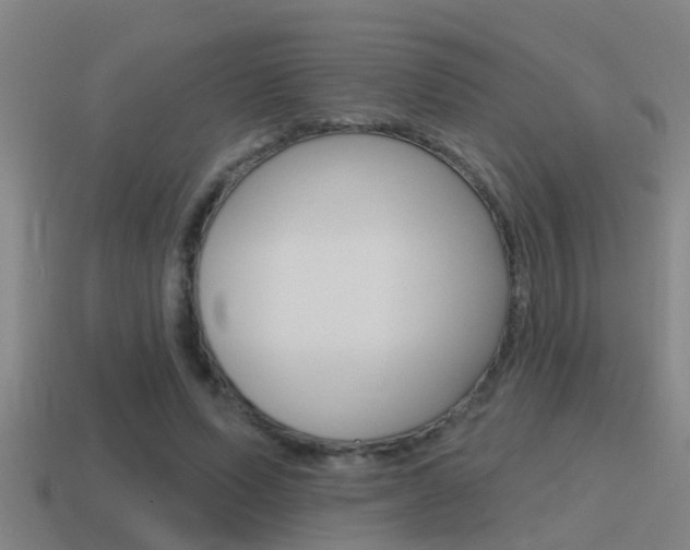 X0000115490591200911061003