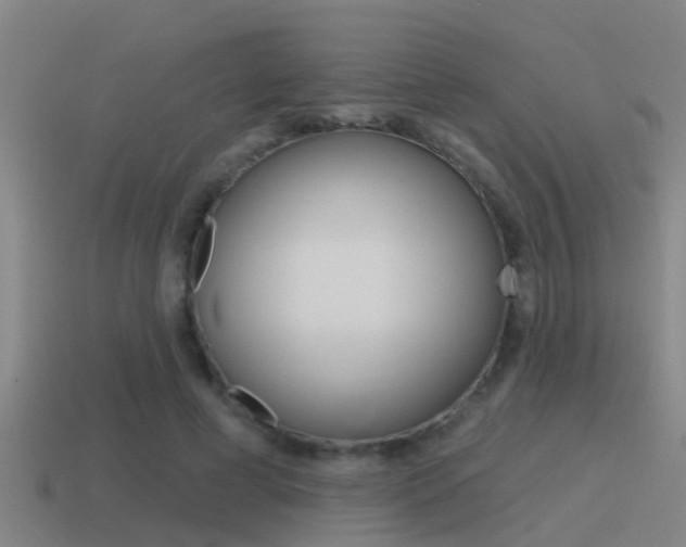 X0000115490593200911061003
