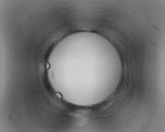 X0000115490595200911061003