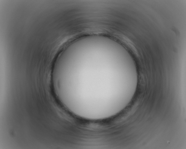 X0000115490596200911061003