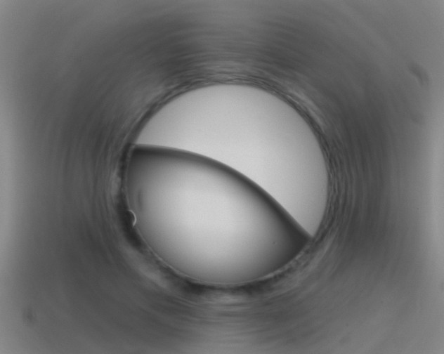 X0000115490597200911061003
