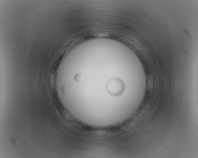 X0000115490598200911061003