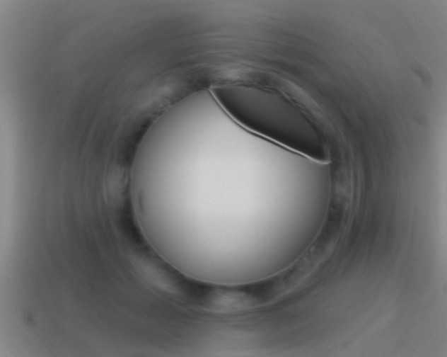 X0000115490605200911061003