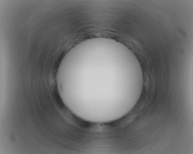 X0000115490607200911061003