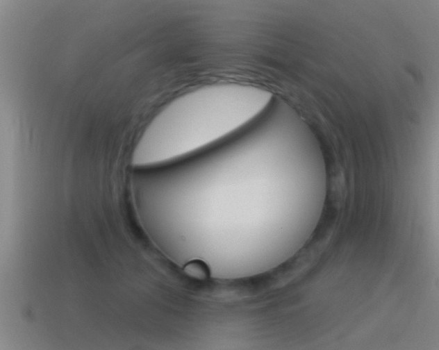 X0000115490608200911061003
