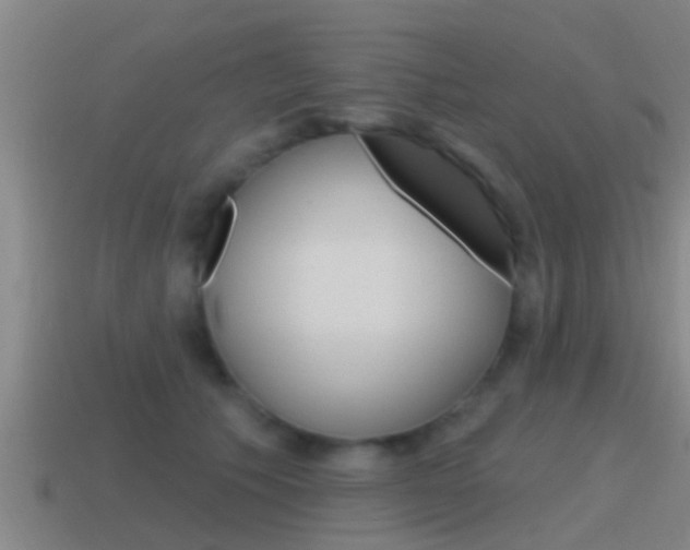 X0000115490609200911061003