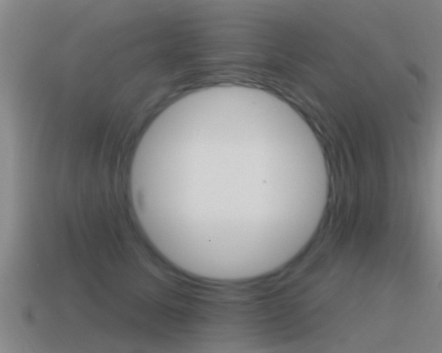 X0000115490611200911061003