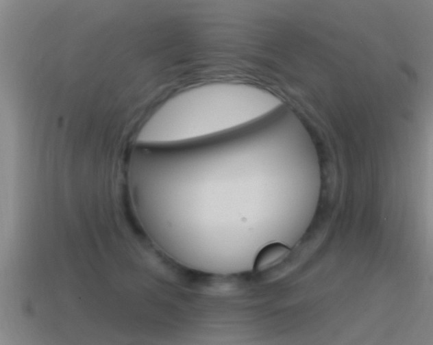 X0000115490612200911061003