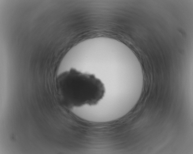 X0000115490613200911061003
