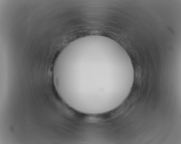 X0000115490614200911061003