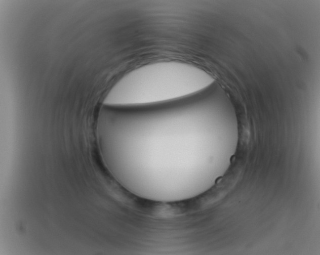 X0000115490616200911061003