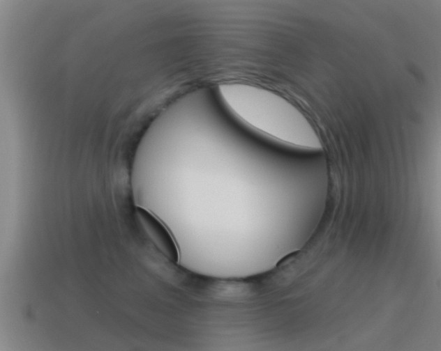 X0000115490617200911061003