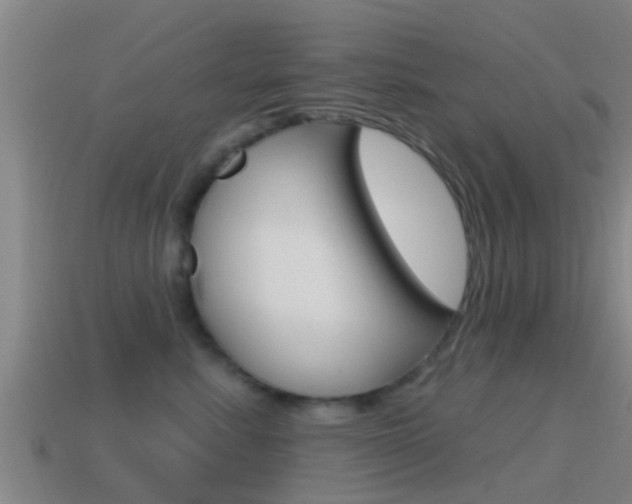 X0000115490619200911061003