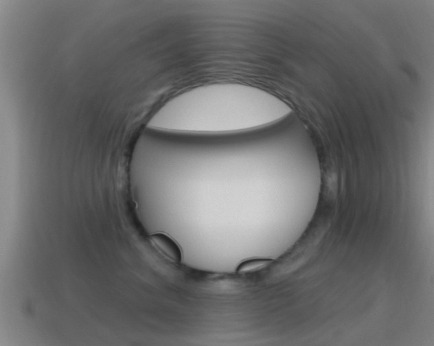 X0000115490620200911061003