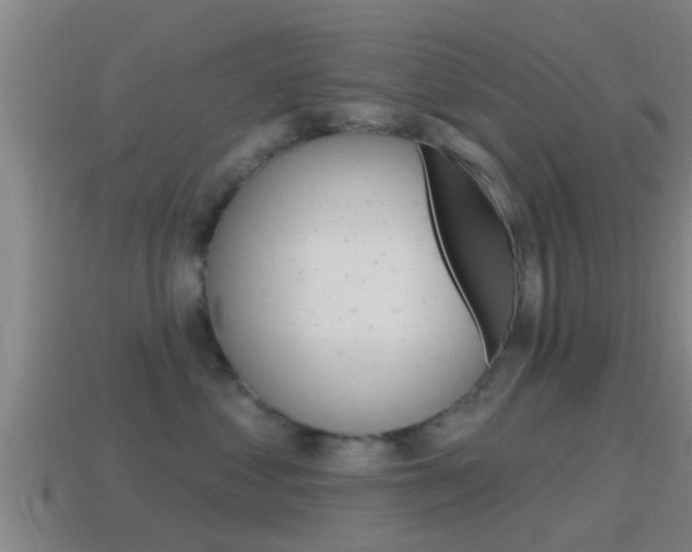 X0000115490621200911061003