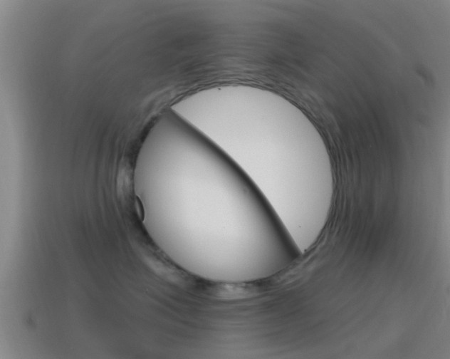 X0000115490623200911061003