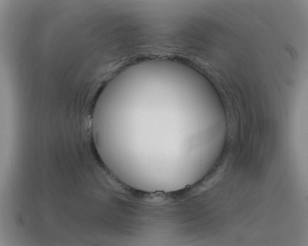 X0000115490624200911061003