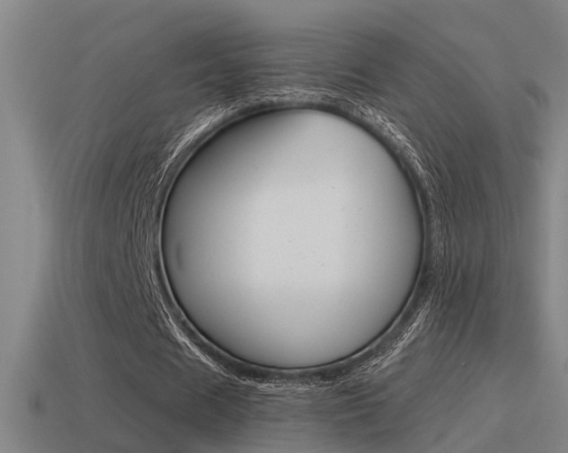 X0000115490625200911061002
