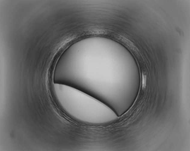 X0000115490627200911061002