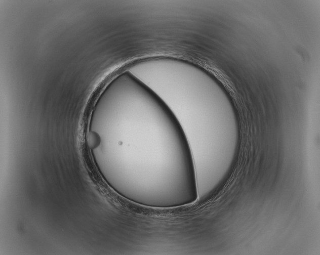 X0000115490628200911061002
