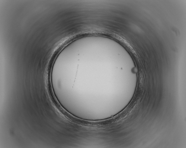 X0000115490629200911061002