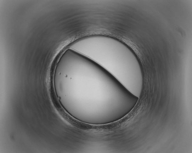 X0000115490630200911061002