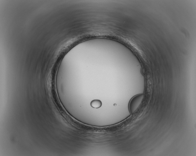 X0000115490631200911061002