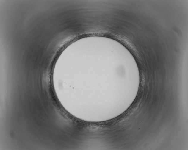 X0000115490632200911061002