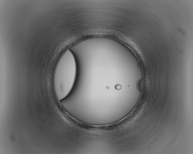 X0000115490633200911061002