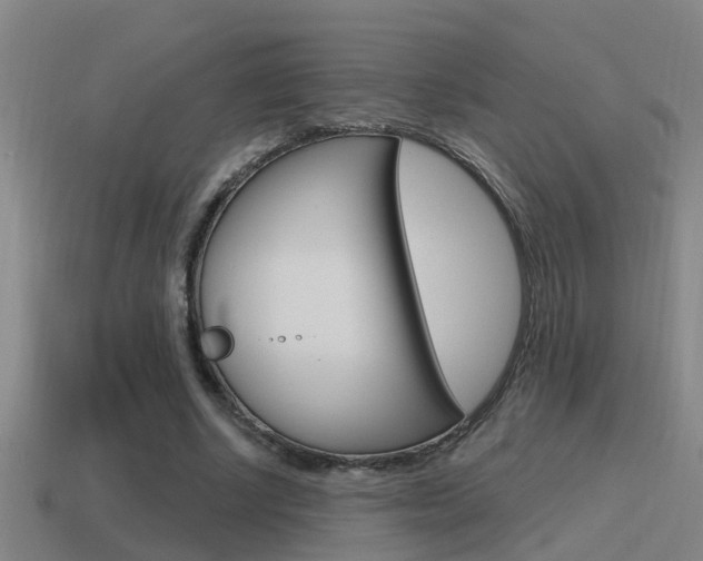 X0000115490634200911061002